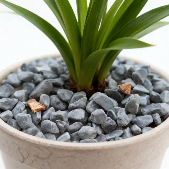 Garden Gravel best
